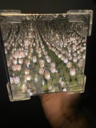 LAMPKA W ŚRODKU TULIPANY WALENTYNKI