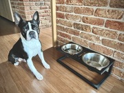 Stojak LOFT na miski dla psa/bufet 2x1,8L Wys.17cm