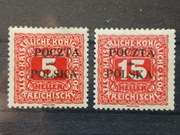 Fi D1*  D3* wydanie krakowskie 5 hal / 15 hal 1919 r. FALS