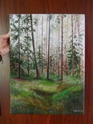 Obraz olejny pejzaż las 30 x 40 cm 