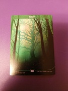 Forest (Unstable - Magic the Gathering)