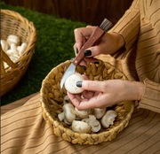 NÓŻ NA GRZYBY ZESTAW GRZYBIARZA NOŻYK SCYZORYK PREZENT