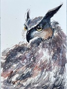 Mądra Sowa Original Akwarela A5