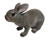 Skarbonka ZAJĄC - DUŻA 