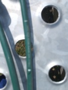 Linki zmiany biegów Micra k11