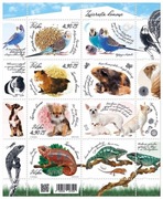 Blok 275 Zwierzęta domowe .