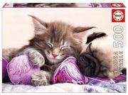 Puzzle Wymarzeni Towarzysze 500 el. EDUCA kotek