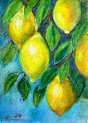 Gałązka cytryny Original Akwarela A4