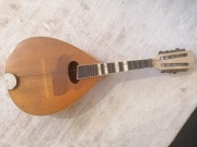 Mandolina Lublin Legnicki