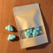 wosk zapachowy Silent Coast 25g 6szt