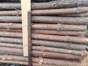 Stemple budowlane nowe