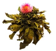 Herbata rozkwitająca Kwiat Serdeczności 