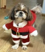 Ubranko kostium Mikołaja dla pieska kotka rozmiar L