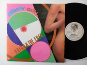 BRIAN & THE EDEN  - SONSY GIRL - MAXI 12" - WINYL ITALO DISCO 