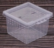 Terrarium plastikowe pojemnik box ptasznik + GRATIS !