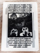 14.44: poeci Fortu 1996–1999 | Antologia | Świetlicki Podsiadło | Poezja