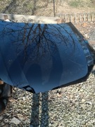 Maska Audi A4 B9 uszkodzona