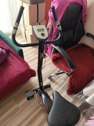 Rowerek stacjonarny Sapphire 