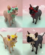 Urocza Ręcznie Robiona Czapeczka dla Kota  Sfinks, Devon, Dachowiec 