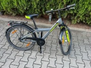 Rower Pegasus Avanti Kid z Shimano Nexus