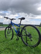 Rower mongoose ledge 2.1