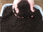 Obornik wermikompost naturalny HUMUS dżdżownic10l.