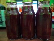 Sok z truskawek z przy. zbiorów bez oprysków i nawozów 330 ml