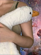 DŁUGA GĘŚ MASKOTKA DUŻA GĘŚ PLUSZOWA GĘŚ