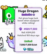huge dragon pets go
