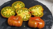 Pomidor Dwarf Autumn Queen golden. Bardzo smaczny i odporny