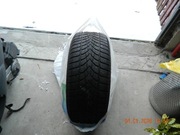 Opony Zimowe Dunlop 225/55R17