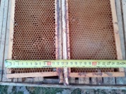 Susz ramki odbudowane nadstawkowa ramka warszawska 6 nadstawek