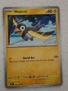 Wattrel 066/191 Karta POKEMON TCG Scarlet & Violet Surging Sparks