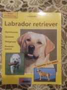 Labrador retriever. Ursula Birr
