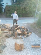 Drewno Kominkowe Drewno Opałowe 2m3 Oraz Drewno na Wędzenie Jabłonka Orzech