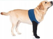 COODEO Skarpeta dla psów przed lizaniem łap i ochrona przed urazami XL