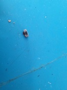 Czujnik zbliżenia  HTC 825