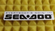 SEADOO SEA DOO NAKLEJKA STICKER