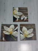 Komplet obrazów (takich jak na zdjęciach