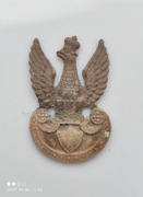 Orzełek cynkowy naprawiany