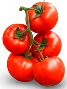 Pomidor Runner F1 firmy Fito 5 nasion czerwony, wczesny