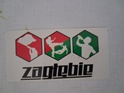 Vlepki Zagłębie Sosnowiec #23