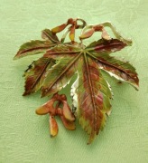 Vintage lata 50te duża broszka liść klonu emalia metal Excuisite Anglia. 35