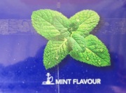 500g  MINT 0.5kg Melasa Shisha Fajka Wodna Hookah MIĘTA