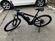 Trek powerfly 4 