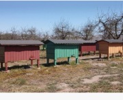 WYPRZEDAZ PASIEKI-SPRZEDAM Ule WIELKOPOLSKIE puste