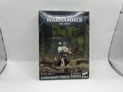 Blood angels Sanguinary Priest