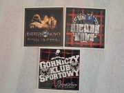 Vlepki GKS Tychy Bieruń #2