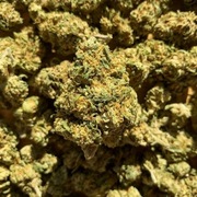 susz konopny CBD / Kwiaty CBG Premium – Ciężki Biały Głaz, susz konopny CBG