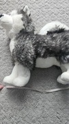 Maskotka pies husky dubi 